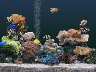 Desktop Wallpaper Fish Screensaver The In HD