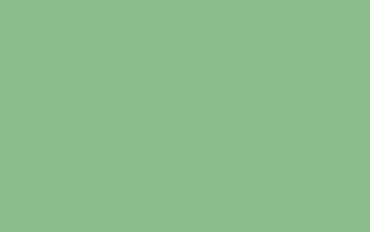 Dark Sea Green Solid