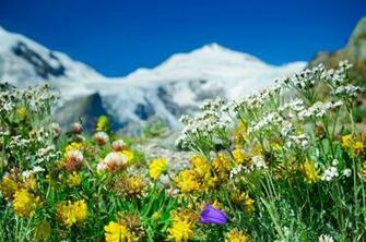 The Form Below To Delete This Visiting Austrian Alps Image From