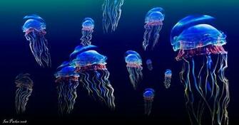 Luminescent Jellyfish Group Picture Image By Tag Keywordpictures