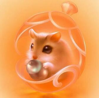 Hamster High Quality And Resolution Wallpaper On