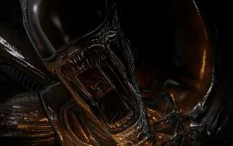 Aliens Vs Predator Wallpaper In