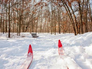 Outdoor Winter Adventures In Michigan S Great Lakes Bay
