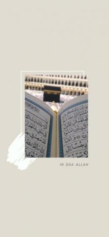 Mdshorab594 Gmail