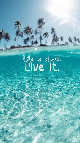 Wonderful Clear Ocean Beach Life Is About Live It iPhone