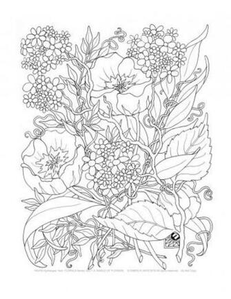 S For Adults Colouring Is Becoming Superb Populer