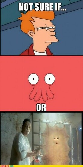 Zoidberg Wallpaper Not Sure If