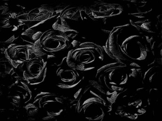 4k Rose Wallpaper