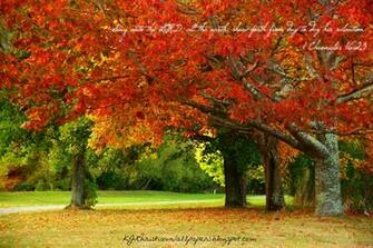 King James Kjb Versed Christian Wallpaper June