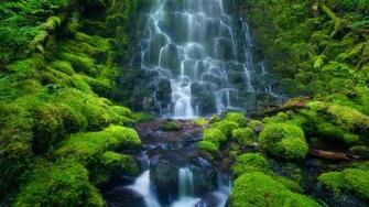 Amazon Rainforest Waterfall Wallpaper Size