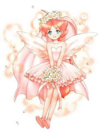 Princess Tutu Image Ahiru Wallpaper Photos