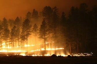 Forest Fire Wallpaper HD Window Top Rated