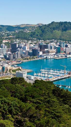 Cityscape New Zealand Wellington Coast