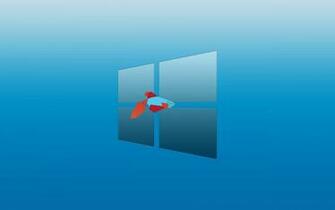 Windows Background Metro Fish Wallpaper X