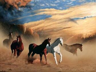 Horse Wallpaper HD Pictures One