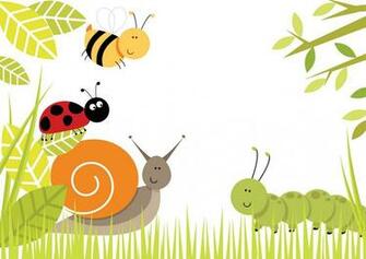 Cute Bug Wallpaper Background HD Painted Pots