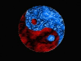 Ying Yang Wallpaper