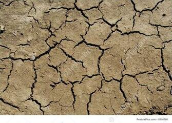Dry Soil Background