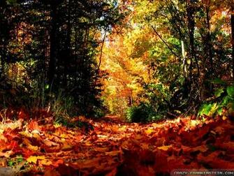 Autumn Season Wallpaper