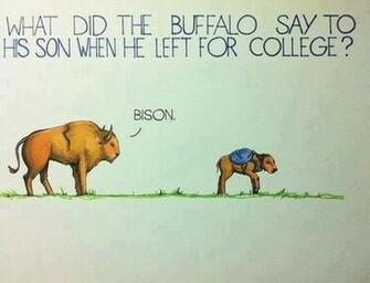 Funny Weird Jokes Background Wallpaper