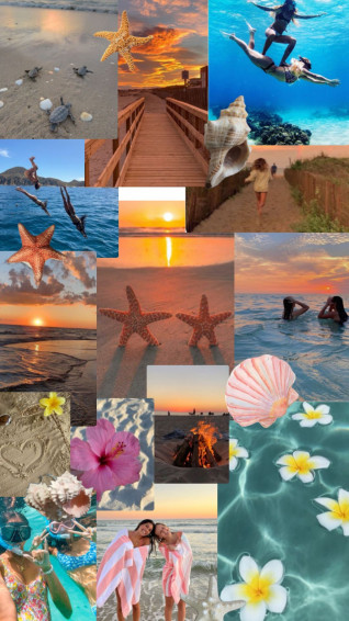 Summer Collage Wallpaper
