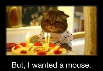 Funny BirtHDay Cat Desktop Wallpaper