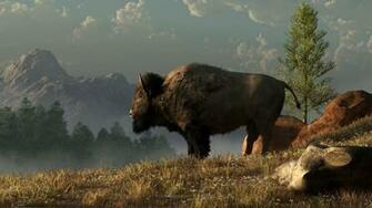 American Bison Wallpaper The Great By