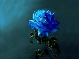 HD Wallpaper For Windows Desktop Background