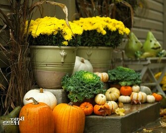 Autumn Fashion Pumpkin Wallpaper Aecfashion