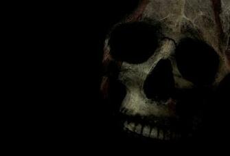 Skull Wallpaper And Background Id