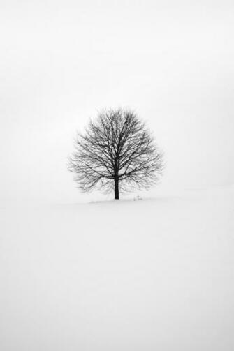 Black And White Wallpaper HD Hq