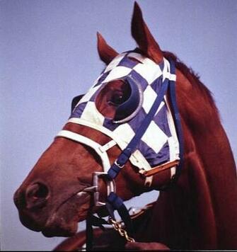 Veterinarian To Triple Crown Winner Secretariat Dies In Wellingto