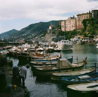Notes On Italy By Brian W Ferry The Fox Is Black