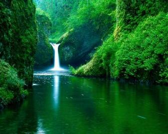 Top Nature Wallpaper HD Pack Desktop