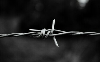 Metal Monochrome Macro Barbed Wire Wallpaper
