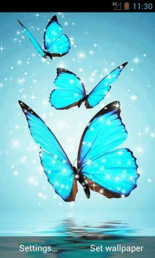 Press Menu Wallpaper Live Cyan Butterfly
