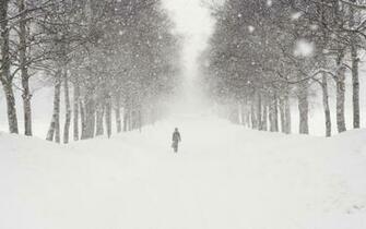 Snow Blizzard Wallpaper Winter