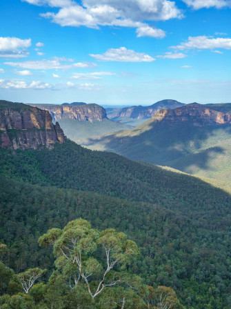 Blue Mountains National Park Wallpaper
