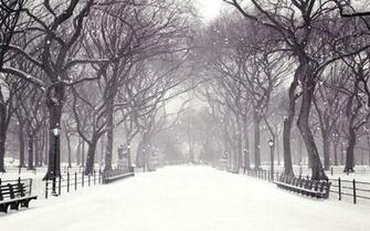 Winter Snow Animated Wallpaper S Multimedia Gallery