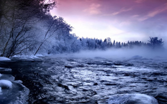 Winter Scene Wallpaper