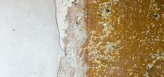 What Is The Easiest Way To Remove Wallpaper Fashion