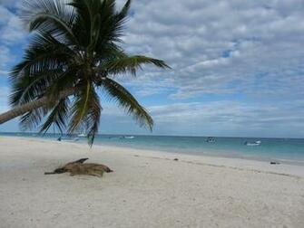 Corona Beer Beach Tulum Mexico