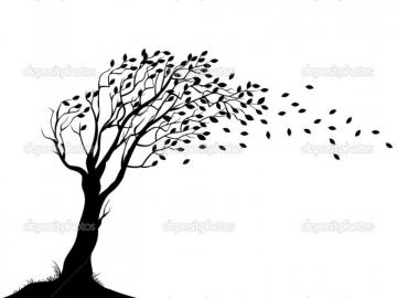 Tree Silhouette Wallpaper