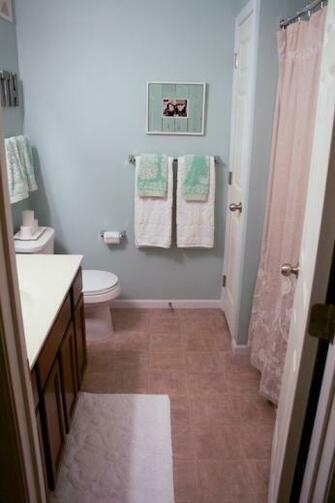 Bathroom Benjamin Moore Palladian Blue