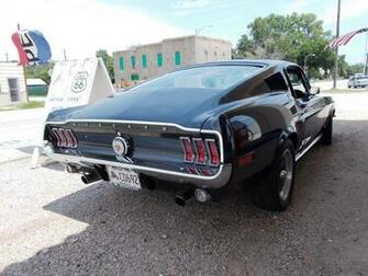 Mustang Wallpaper Looking Being