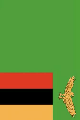 Zambia Flag iPhone Wallpaper HD