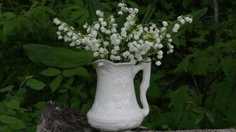 Lily Of The Valley Wallpaper HD