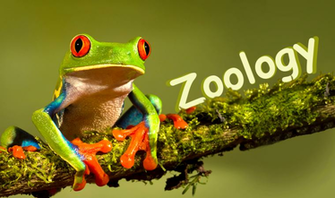 Tnpsc Vao Zoology Study Material In Tamil