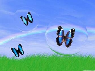 3d Butterfly Wallpaper HD