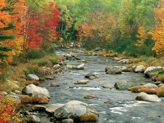 Nh Color Fall Pictures Nature White Mountains